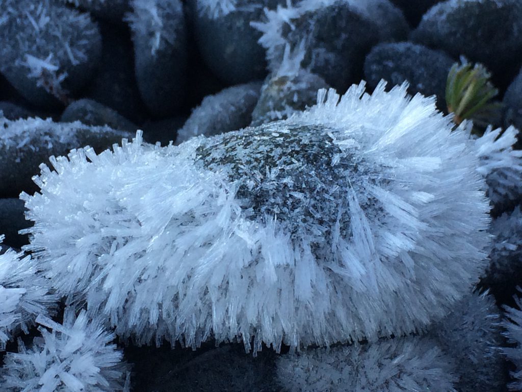 frosty